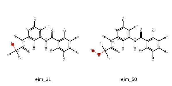 The TYK2 ligands